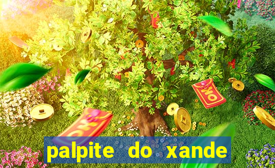 palpite do xande de hoje